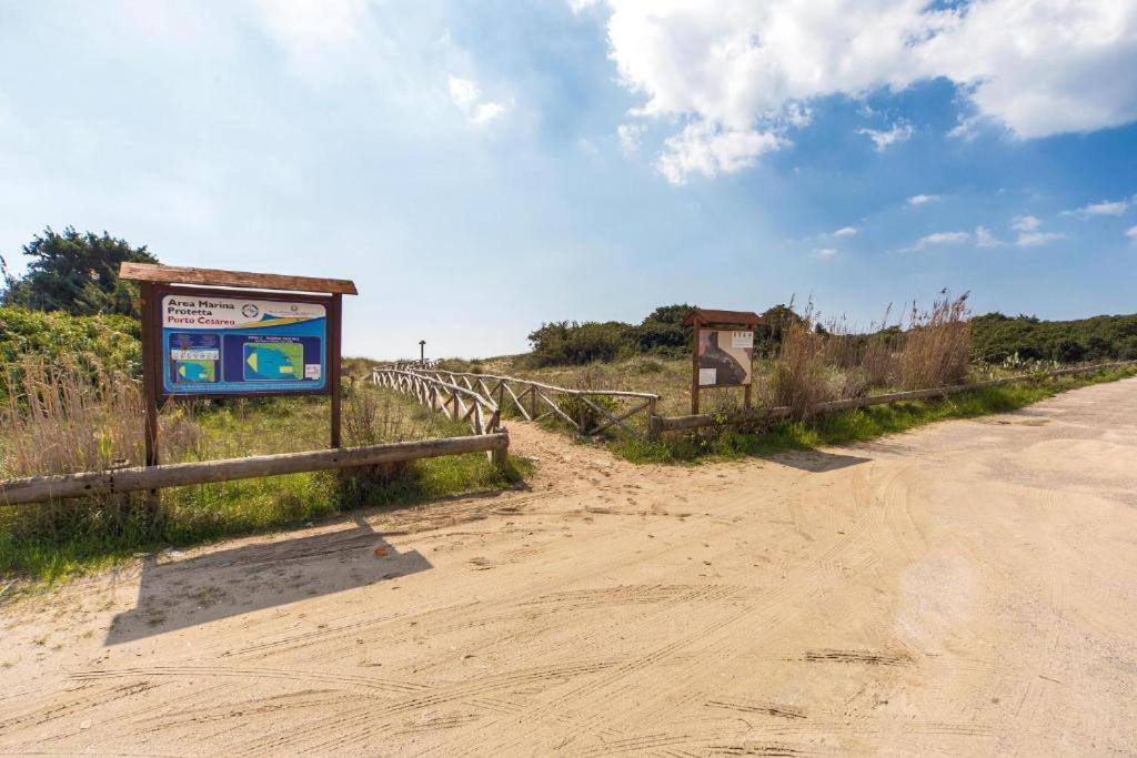 Villa Spiaggia Degli Angeli Porto Cesareo Ngoại thất bức ảnh